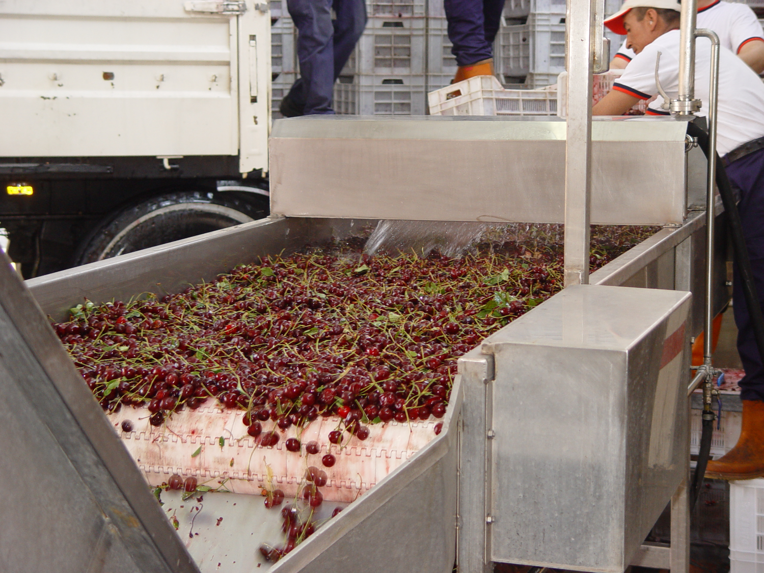 DİMES Küresel şirket hedefiyle büyüyor